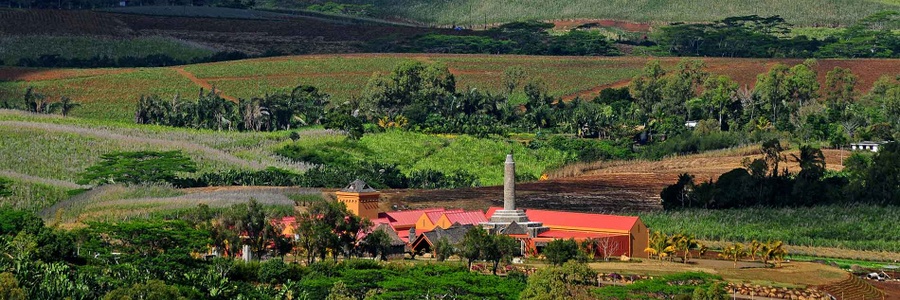 Rhumerie dI Chamarel