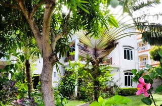Accommodation - guest house la gaulette mauritius surf holidays garden.jpg