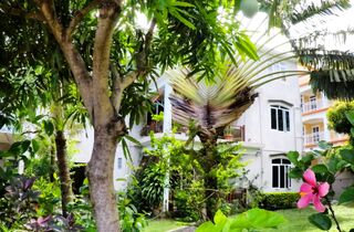 Logement - guest house la gaulette mauritius surf holidays garden.jpg