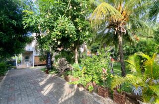 Accommodation - Surf house la Gaulette Mauritius garden entrance guest house.jpg
