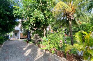 Alloggio - Surf house la Gaulette Mauritius garden entrance guest house.jpg