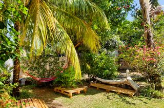 Accommodation - Surf house garden la Gaulette , le Morne, Mauritius.jpg