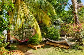 Surf House Villa d'Or - Surf house garden la Gaulette , le Morne, Mauritius.jpg