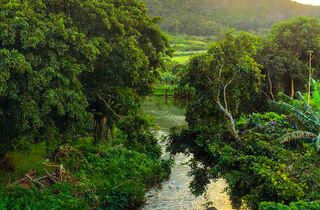 l'ile - mauritius attractions tamarin river holidays.jpg