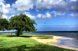 The Island - mauritius surf holidays le morne lagune.jpg