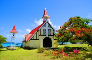 Tours & Trekking - mauritius portlouis tours holidays.jpg