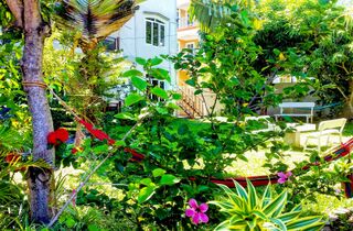 ONE EYE appartamento - surf house villa d'or la gaulette mauritius surf holidays garden.jpg